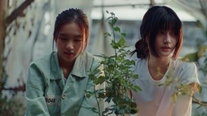 ดูซีรี่ย์ คลั่ง รัก นักโทษ (CLAIREBELL 2025) ซีซั่น 1 ตอนที่ 3