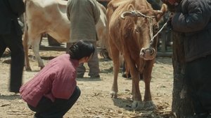 ซับไทย ซีซั่น 1 ตอนที่ 10