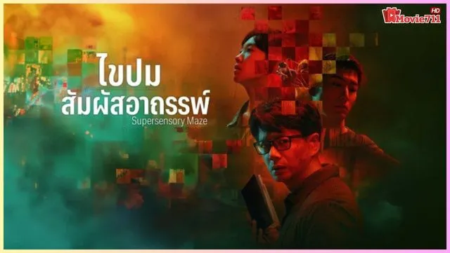 Supersensory Maze (2025) Supersensory Maze (2025)