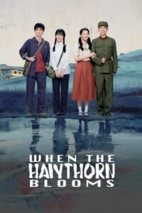 ดูซีรี่ย์ When The Hawthorn Blooms (2025)