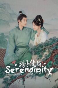 ดูซีรี่ย์ Serendipity (2025) ราชบุตรเขยที่รัก