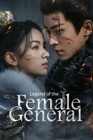 ดูซีรี่ย์ เหนือสมรภูมิ (2025) Legend of The Female General