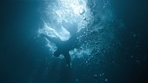 พากย์ไทย ซีซั่น 1 ตอนที่ 15