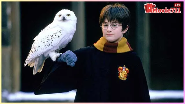 ดู-แฮร์รี่-พอตเตอร์-กับ-ศิลาอาถรรพ์-(2001)-หรือ-Harry-Potter-and-the-Philosopher’s-Stone ดู-แฮร์รี่-พอตเตอร์-กับ-ศิลาอาถรรพ์-(2001)-หรือ-Harry-Potter-and-the-Philosopher’s-Stone