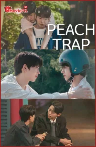 ดูซีรี่ย์ Peach Trap (2025) กับดักรักแรก (พากย์ไทย) EP.1-8
